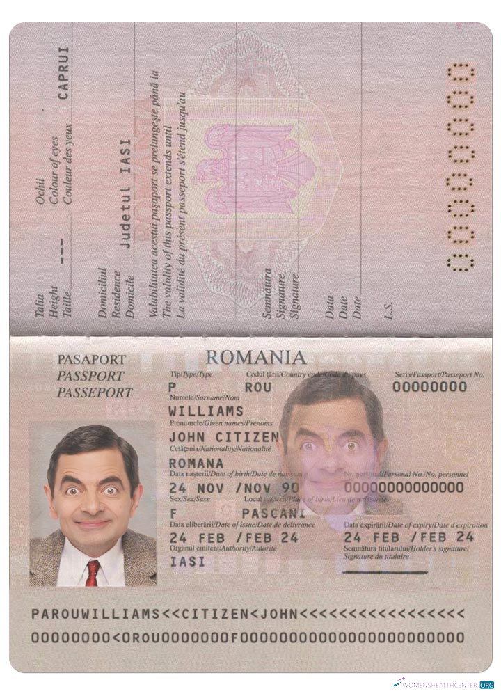 Download Romania pass 2013   present Photoshop template